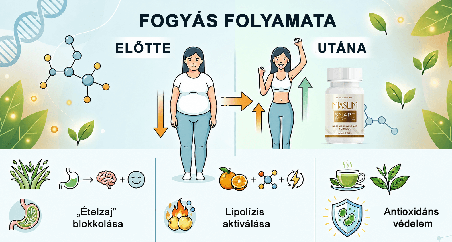 Miaslim hatásmechanizmus folyamata